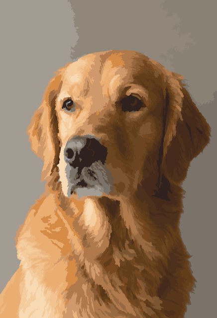 Golden Retriever Portrait, painted preview